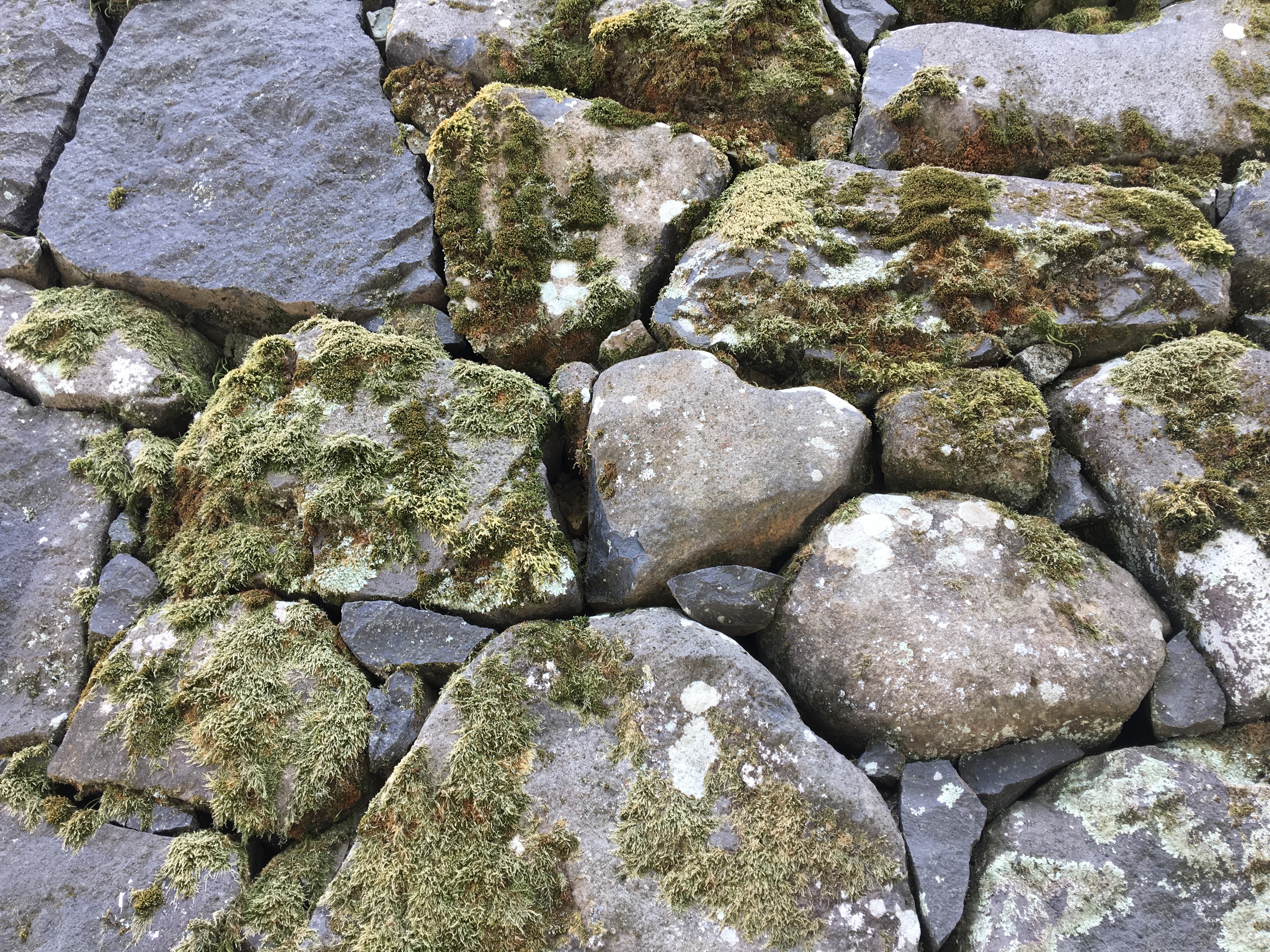 松江城のハートの石垣 島根県松江市にあるソフトウエア開発会社のｓｅのブログです